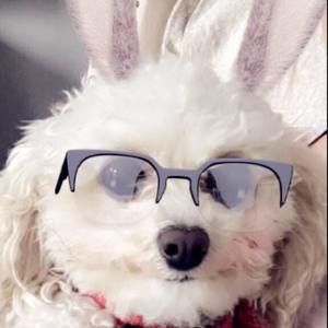 Meet your Posher, Brandy